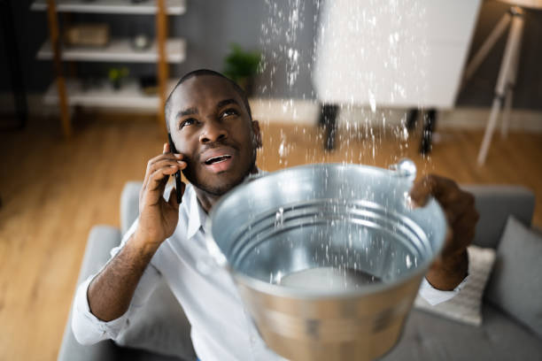 Best Water damage restoration near me  in Parkwood, CA