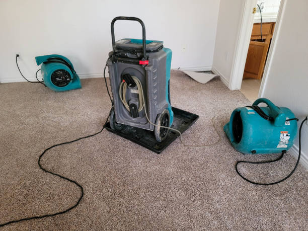 Local water damage restoration in Parkwood, CA