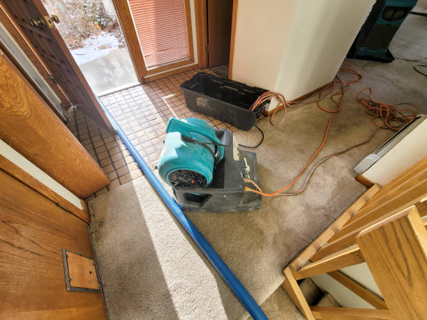 Best Water damage restoration near me  in Parkwood, CA