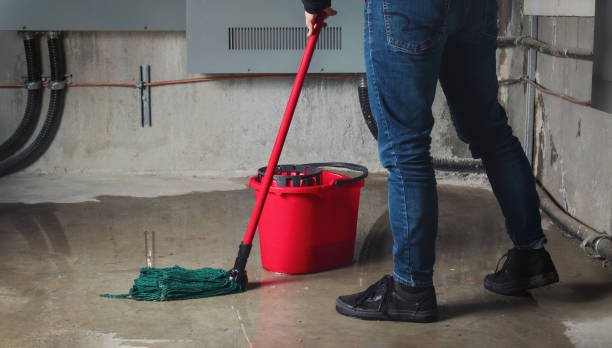 Best Carpet water damage restoration  in Parkwood, CA