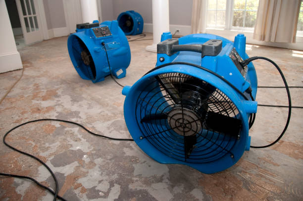  Parkwood, CA Water damage restoration Pros