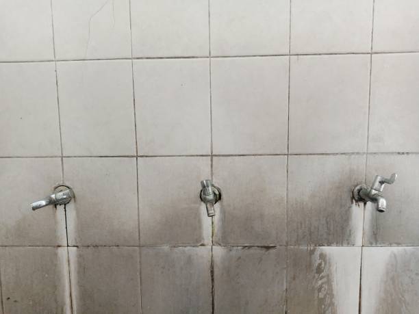 Best Water damage restoration specialists  in Parkwood, CA