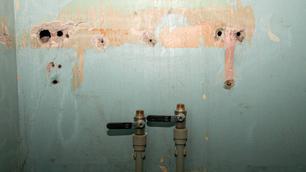 Best 24/7 water damage repair  in Parkwood, CA