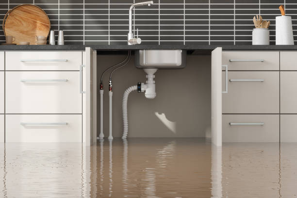Best Water damage contractors near me  in Parkwood, CA