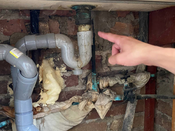 Best Fire Damage Restoration  in Parkwood, CA
