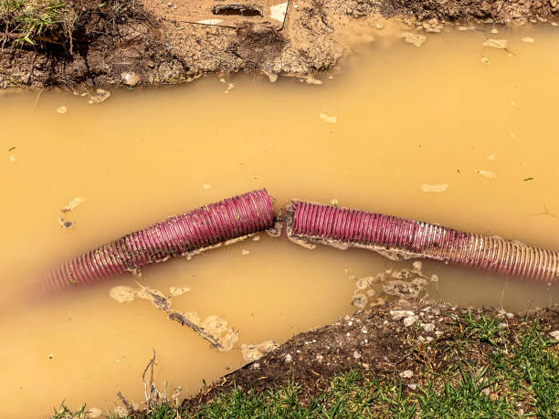 Best Water damage restoration mold remediation  in Parkwood, CA