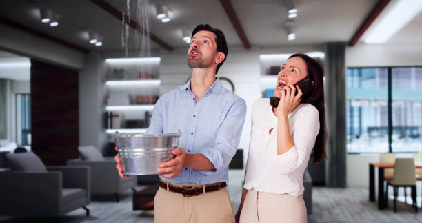 Best Ceiling water damage repair  in Parkwood, CA
